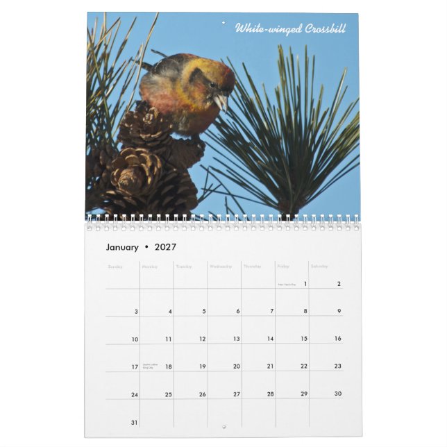 Calendrier d'oiseau de 2015 Nord-américains (Jan 2027)