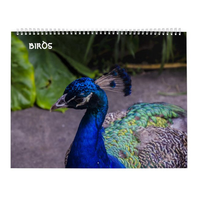 calendrier d'oiseaux (Protection)