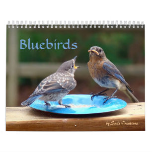 Calendrier d'oiseaux bleus