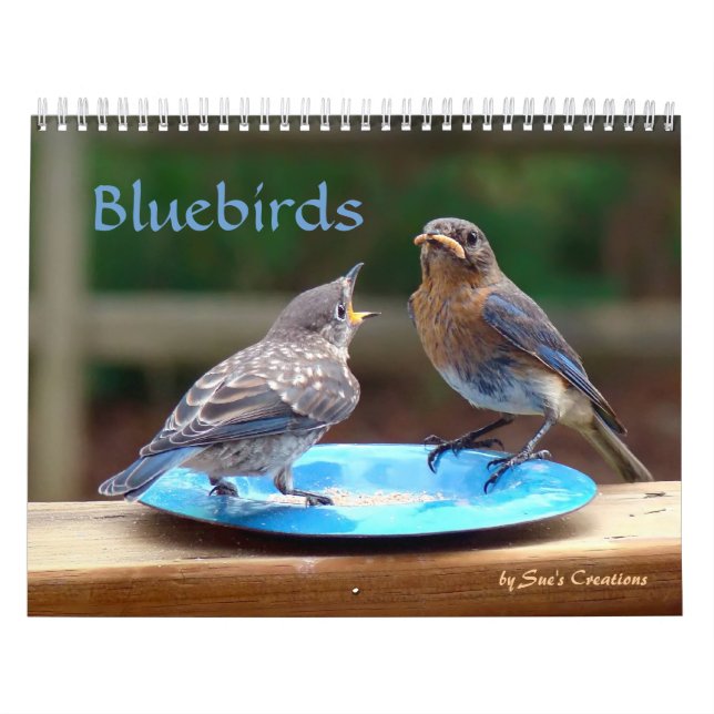 Calendrier d'oiseaux bleus (Protection)