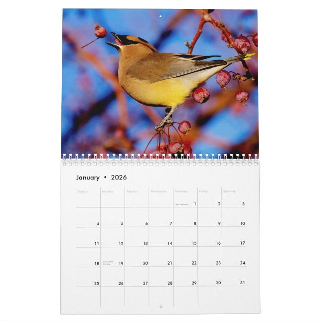 Calendrier d'oiseaux et de fleurs 2015 (Jan 2026)