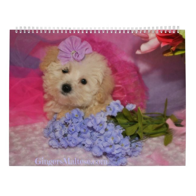 Calendrier Doodle Puppy Dog (Dos)