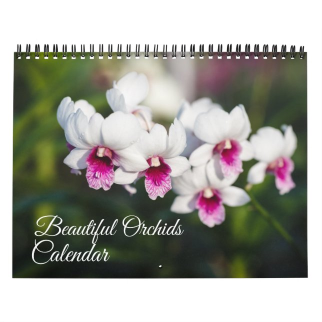 Calendrier d'orchidées de taille moyenne (Protection)
