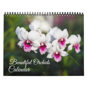 Calendrier d'orchidées de taille moyenne