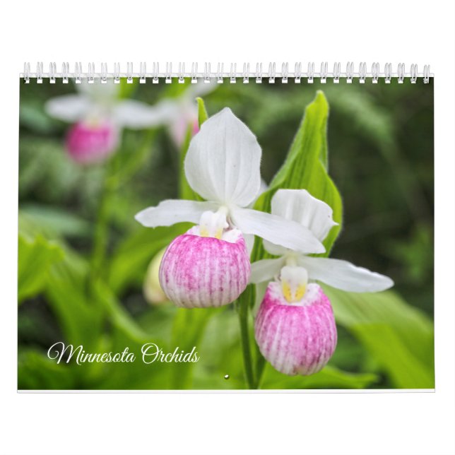 Calendrier d'orchidées du Minnesota (Protection)