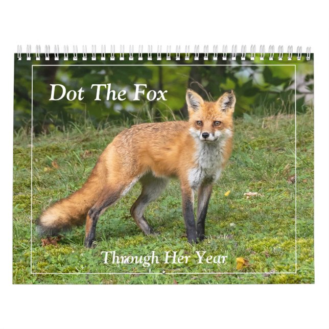 Calendrier Dot Le Renard (Protection)