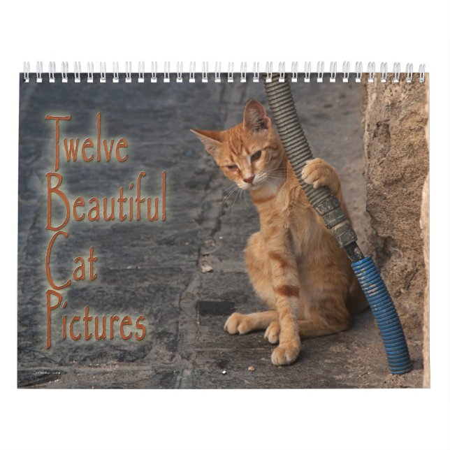 Calendrier Douze Belles Photos De Chats (Protection)
