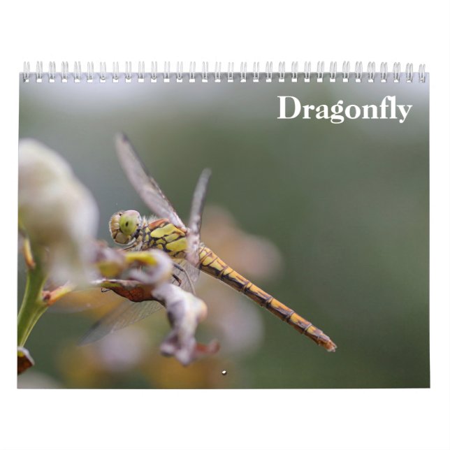 Calendrier Dragonfly 2025 (Protection)