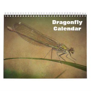 Calendrier Dragonfly 2025