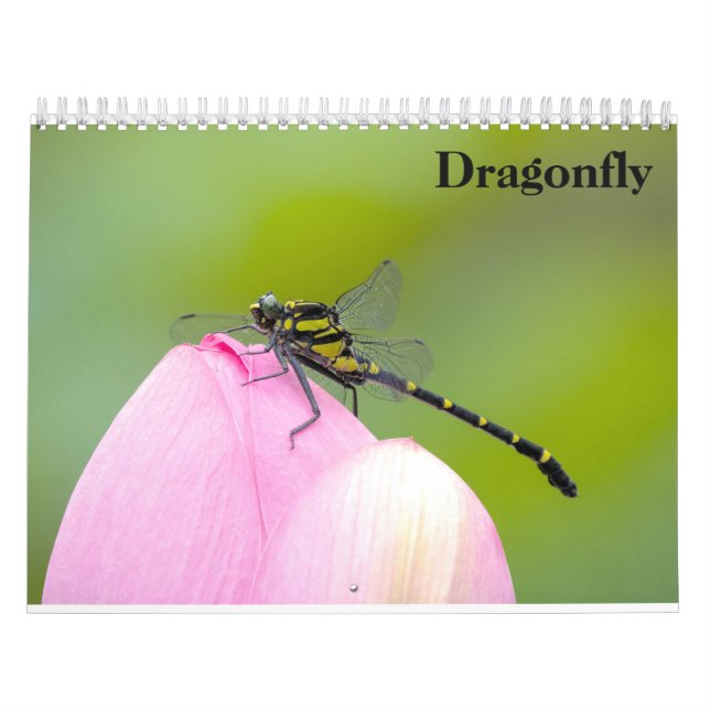 Calendrier Dragonfly 2027 (Protection)