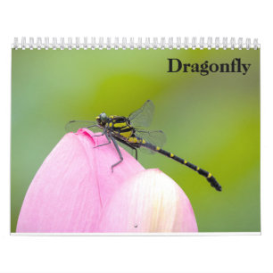 Calendrier Dragonfly 2027