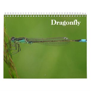 Calendrier Dragonfly 2027