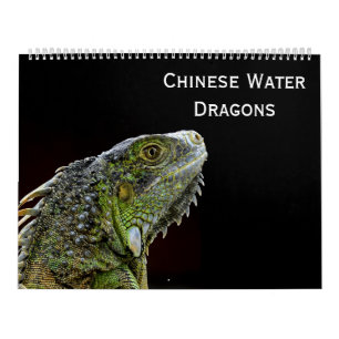 Calendrier Dragons d'eau chinois