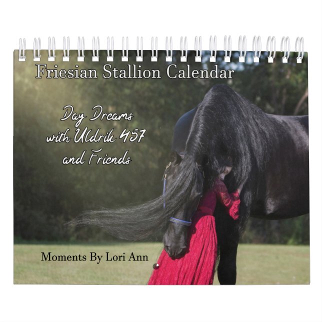 Calendrier Dream Day avec Uldrik 457 et ses amis (Protection)