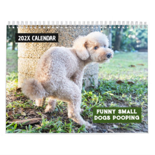 Calendrier Drôle Chiens Petits Pooping 2026