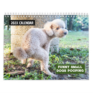 Calendrier Drôle Chiens Petits Pooping 2026