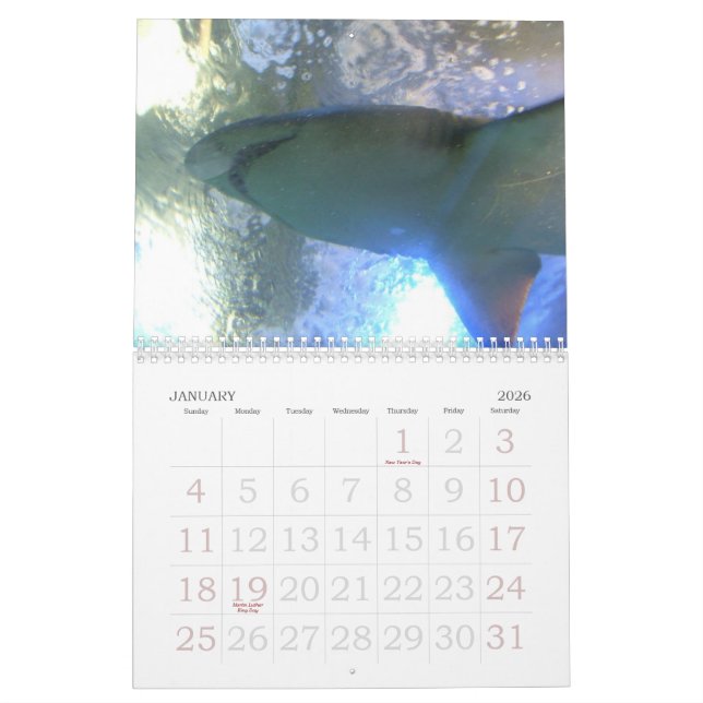 Calendrier drôle des animaux 2012 (Jan 2026)