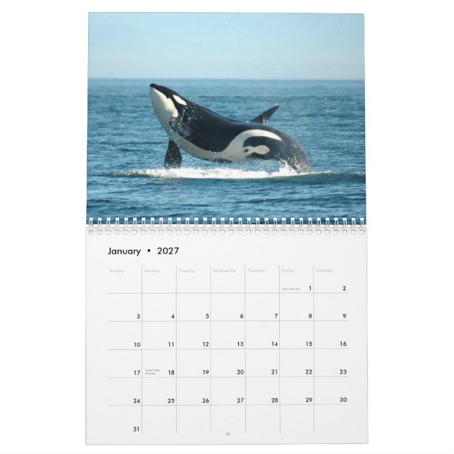 Calendrier du ~ 2012 d'orques (Jan 2027)
