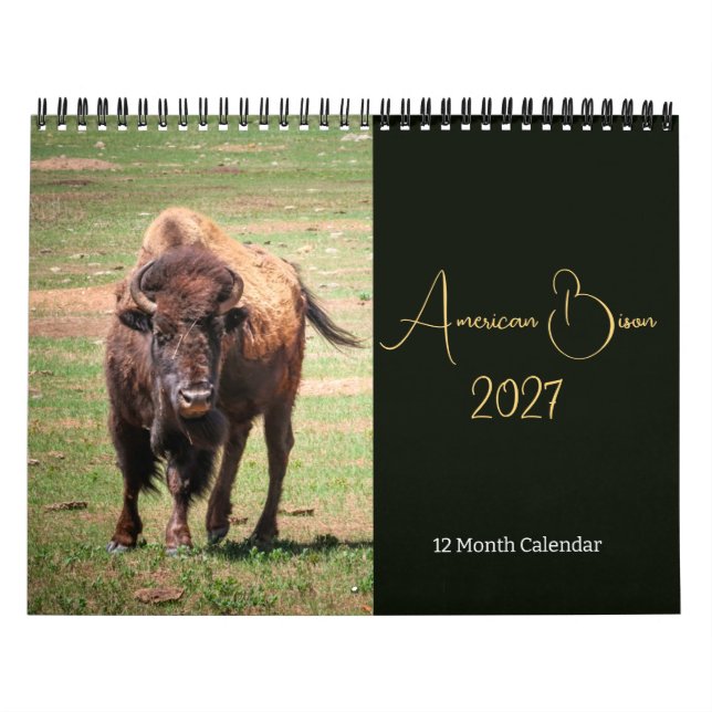 Calendrier du Bison d'Amérique 2027 (Protection)
