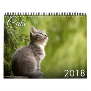 Calendrier du chat 2018 et du chaton