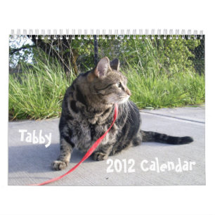 Calendrier du chat tigré 2012