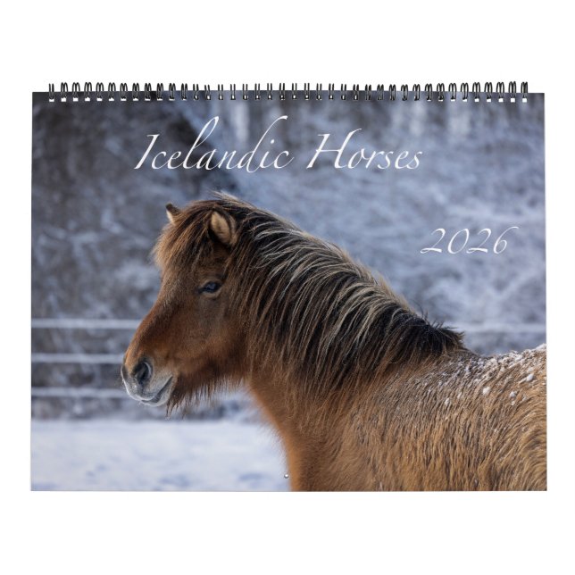 Calendrier du cheval islandais 2026 (Protection)