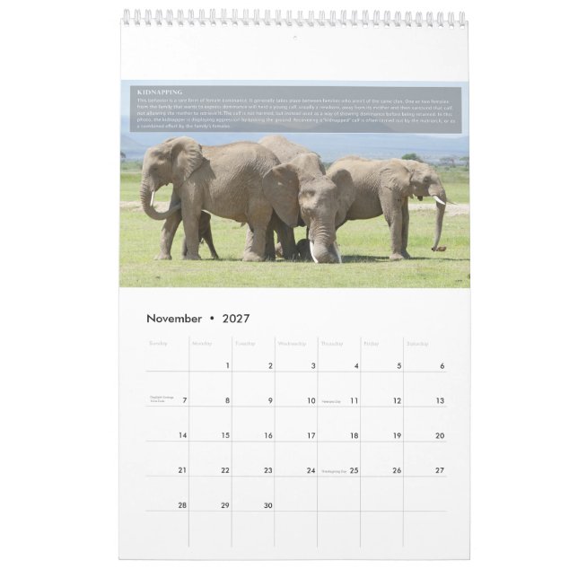 Calendrier du comportement des éléphants (Nov 2027)