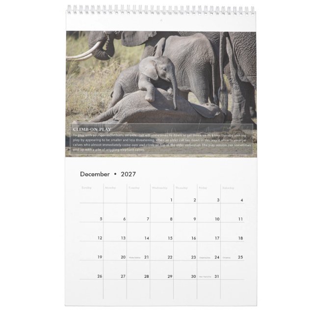 Calendrier du comportement des éléphants (Dec 2027)