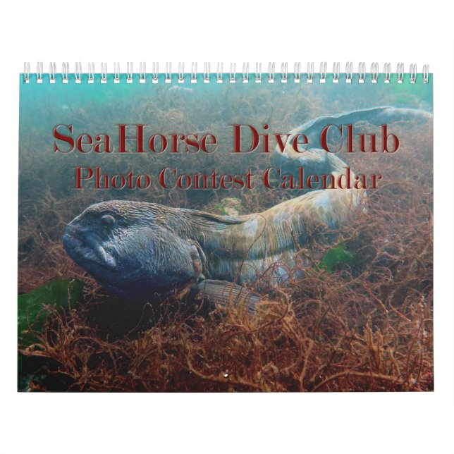 Calendrier du concours de photos du SeaHorse Dive  (Protection)
