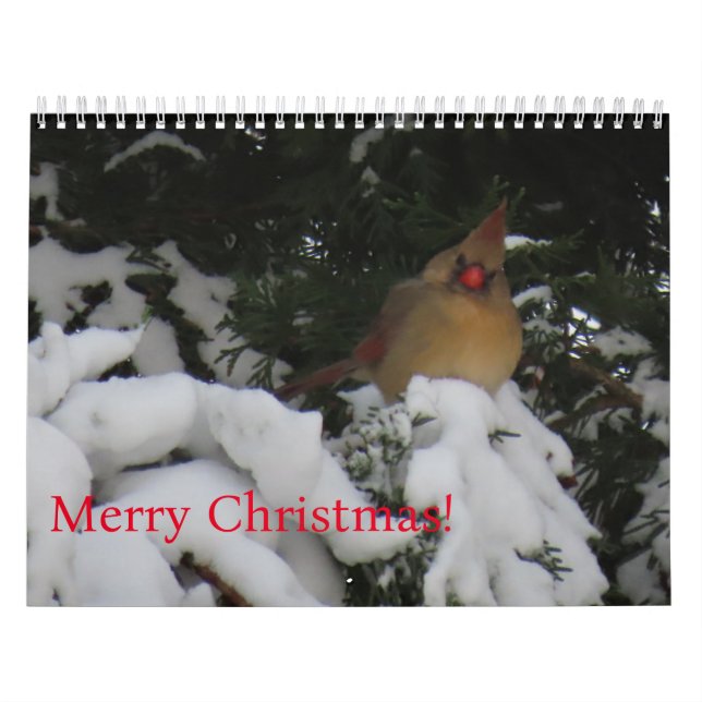 Calendrier du coucher de soleil 2025 (Protection)