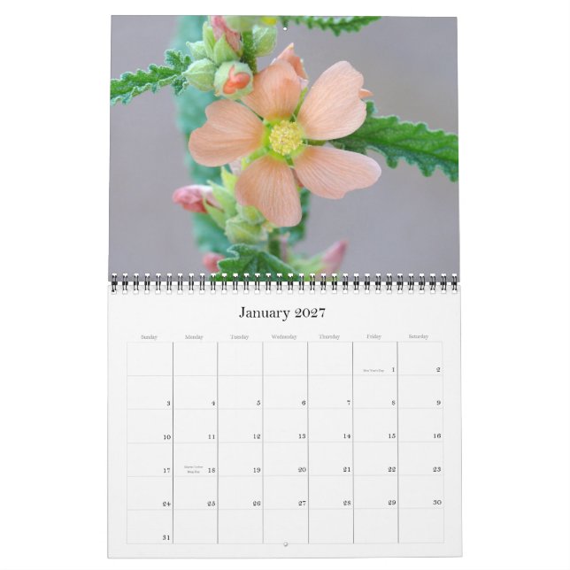 Calendrier du désert de Sonoran pour 2008 (Jan 2027)