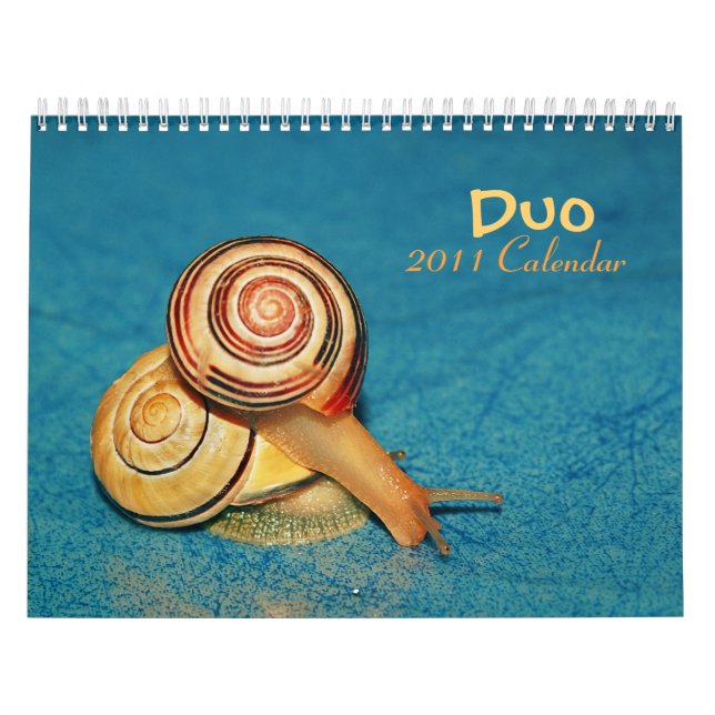 Calendrier du duo 2011 (Protection)