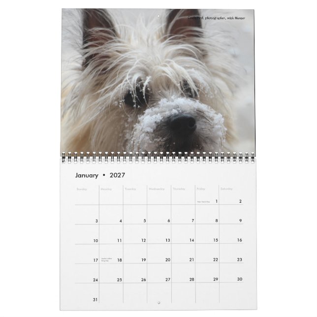 Calendrier du jardin 2016 de Dave (Jan 2027)
