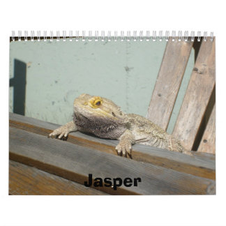 Calendrier du jaspe 2009