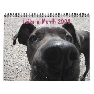 Calendrier du Laika-un-Mois 2008
