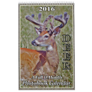 Calendrier du livre photo Deer2
