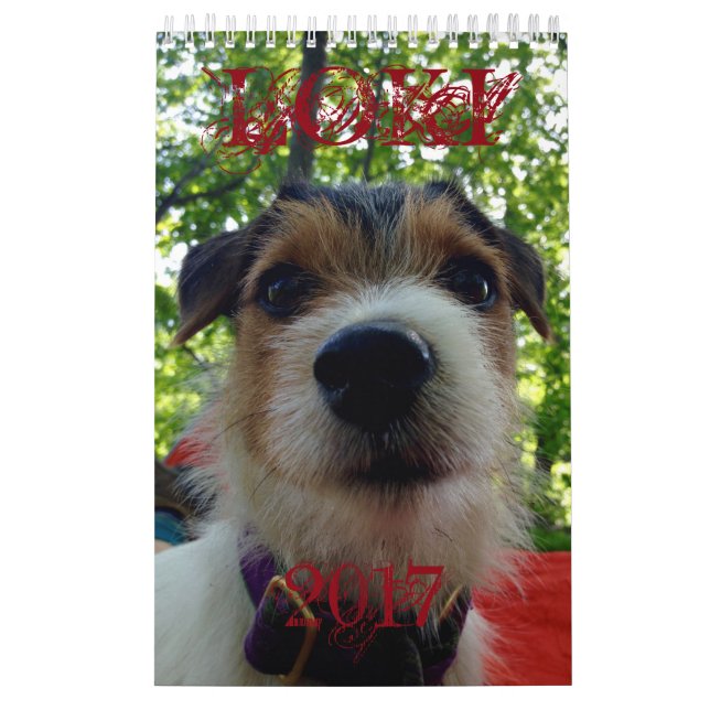 Calendrier du Loki 2017 (Protection)