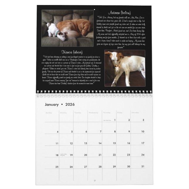 Calendrier du match 2015 de Pawfect (Jan 2026)