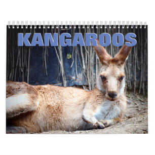 Calendrier du mur de Kangaroos