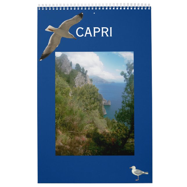 Calendrier du mur de l'île de Capri (Protection)