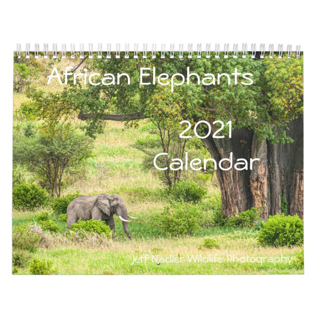 Calendrier du mur des éléphants africains 2021 (Protection)