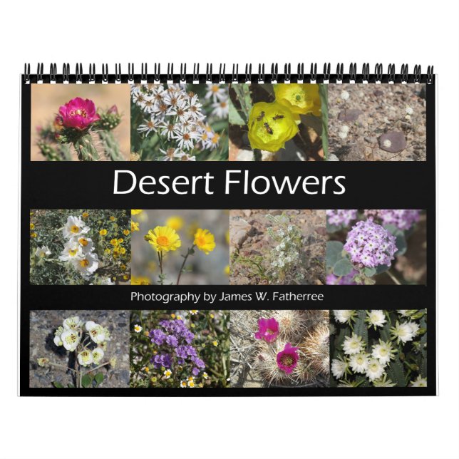 Calendrier du mur des fleurs du désert par J.W. Pa (Protection)