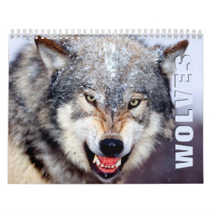 Calendrier du mur des loups