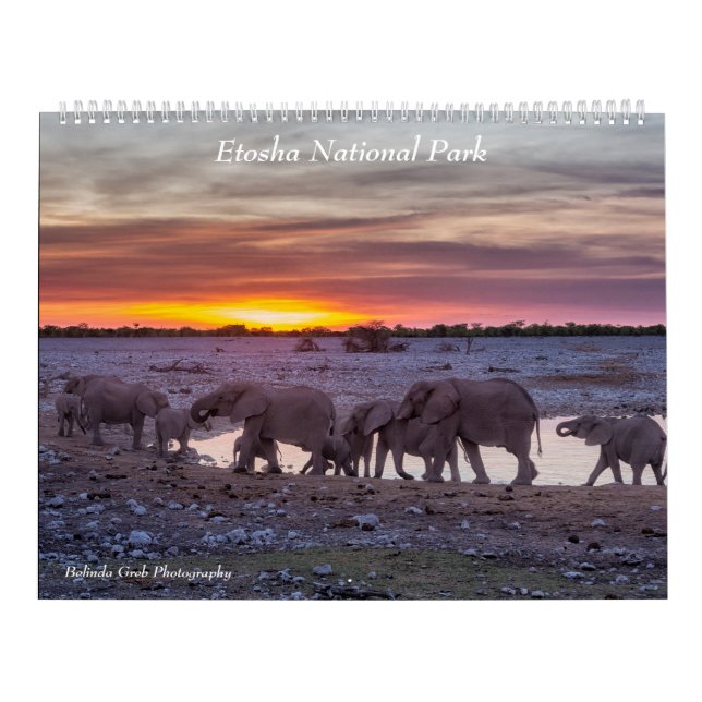 Calendrier du parc national d'Etosha 2020 (Protection)