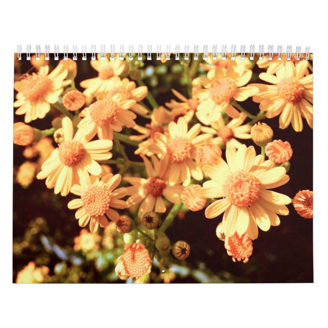 Calendrier du pays de ferme (Protection)