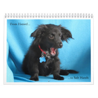 Calendrier Du risque aux mains sûres