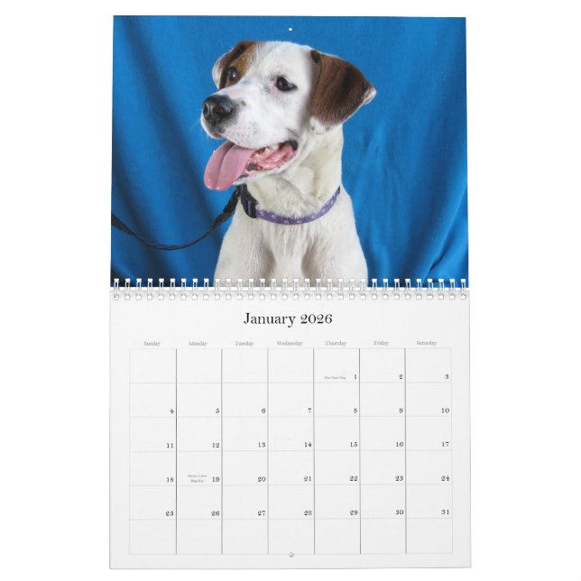 Calendrier Du risque aux mains sûres (Jan 2026)