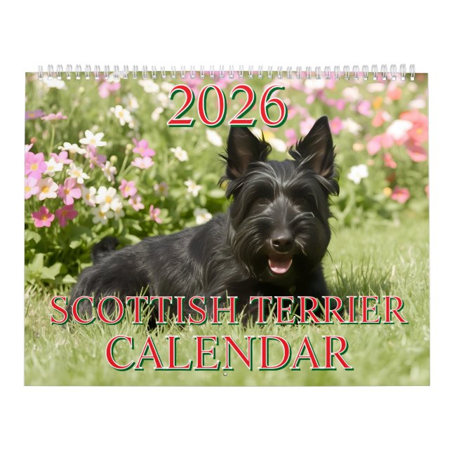 CALENDRIER DU TERRIER ÉCOSSE 2026 (Protection)