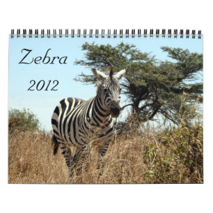 calendrier du zèbre 2012