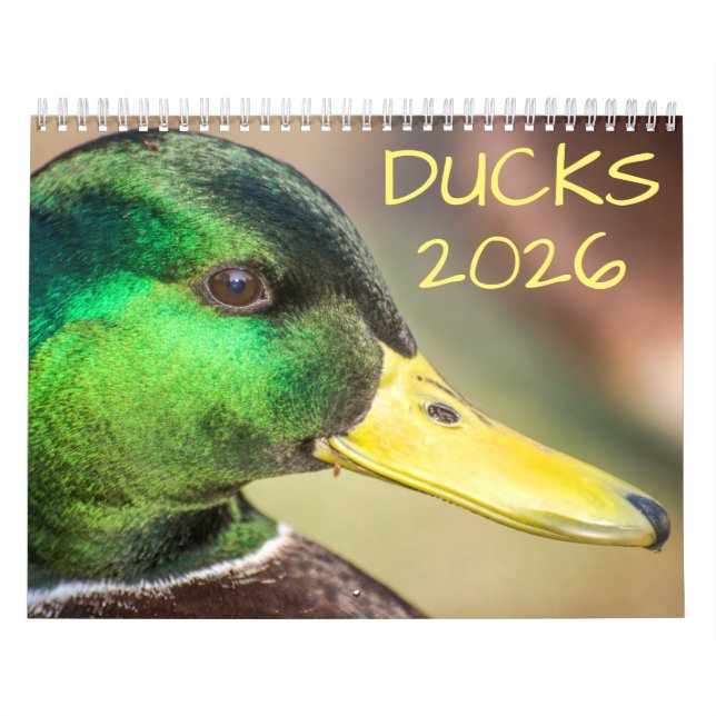 Calendrier Duck Wildlife Photography (Protection)